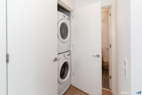 19 Elm Street New Haven CT 06510