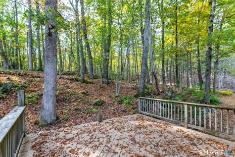 38 West Mountain Lane Roxbury CT 06783