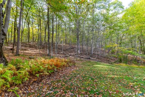 38 West Mountain Lane Roxbury CT 06783