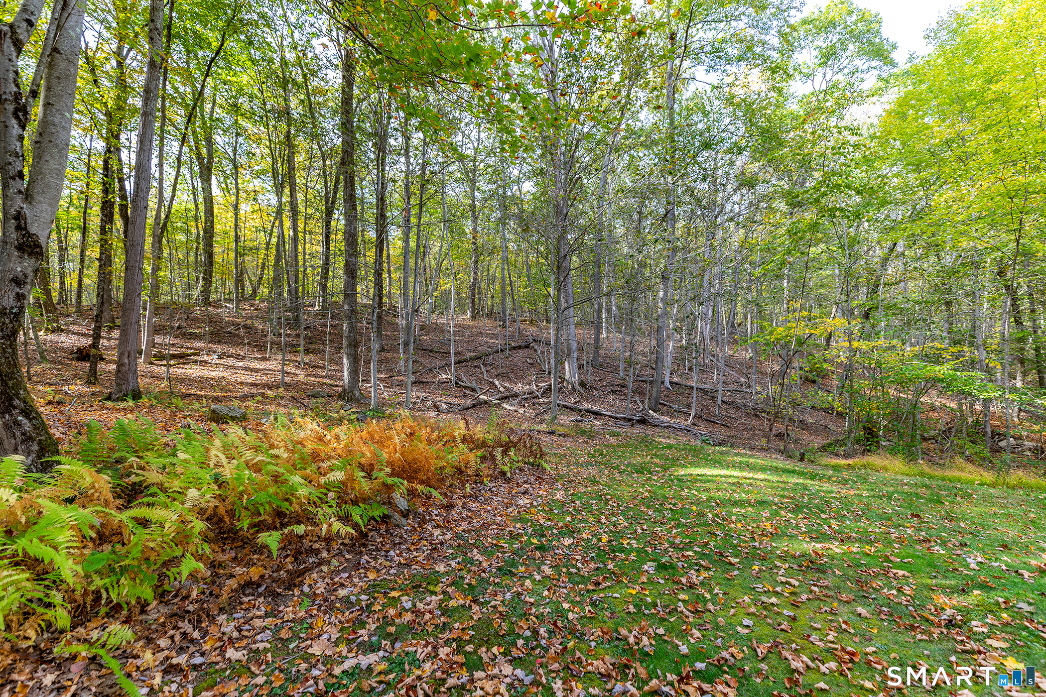 38 West Mountain Lane Roxbury CT 06783