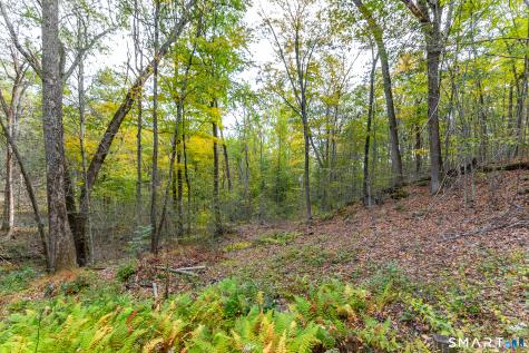 38 West Mountain Lane Roxbury CT 06783