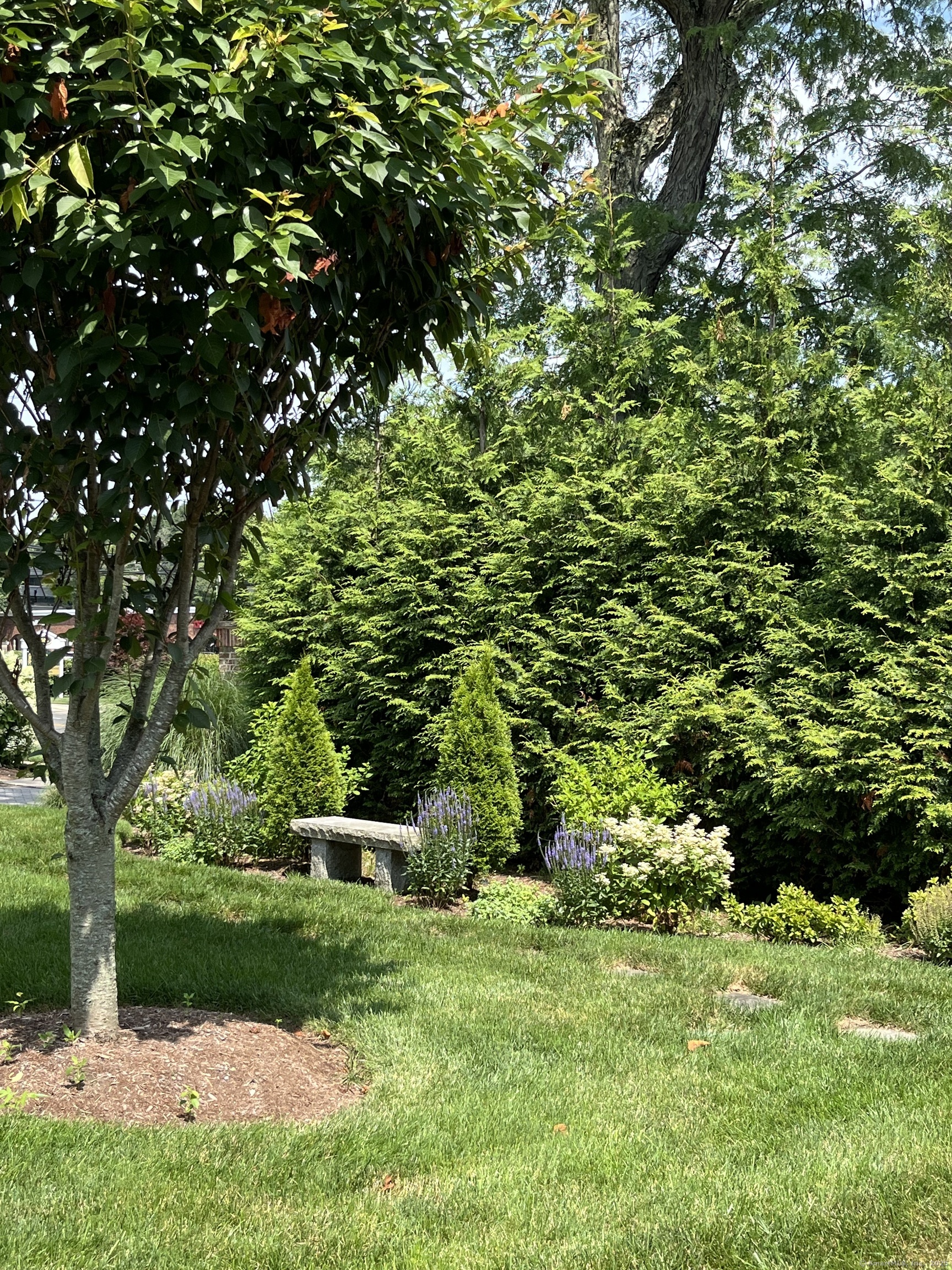 11 Pond Lane Darien CT 06820