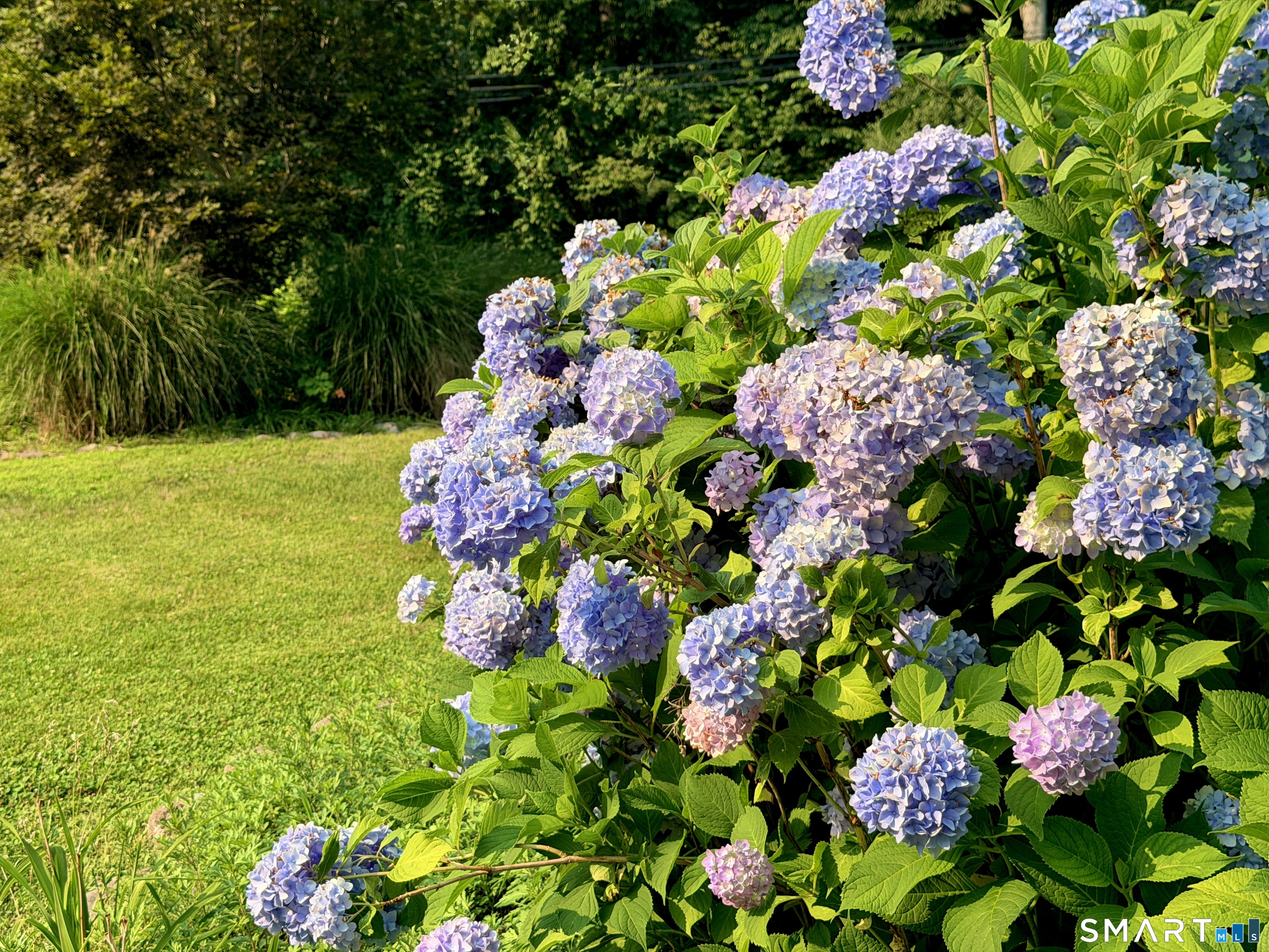 22 Hyde Park Drive Ledyard CT 06335