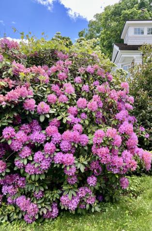 88 Five Mile River Road Darien CT 06820