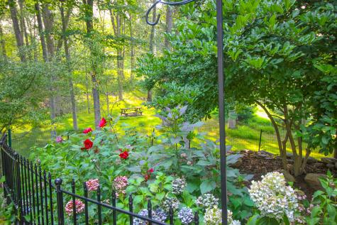 259 Wilton Road Westport CT 06880