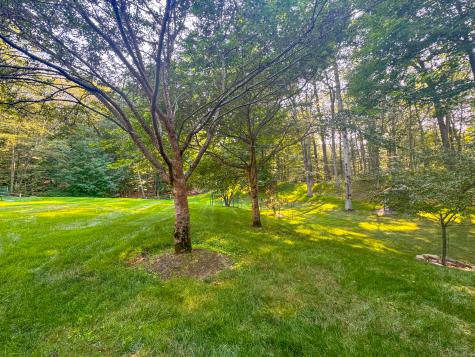 259 Wilton Road Westport CT 06880