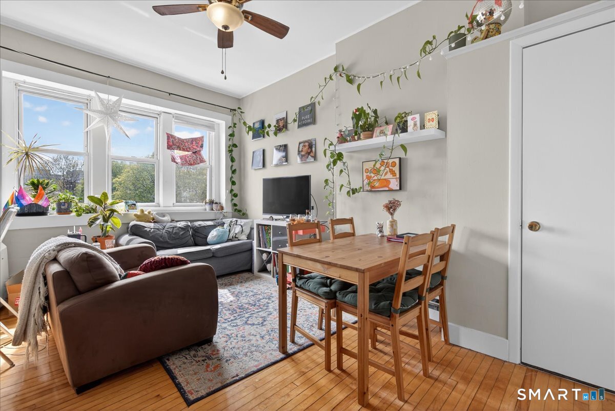 29 Eld Street New Haven CT 06511