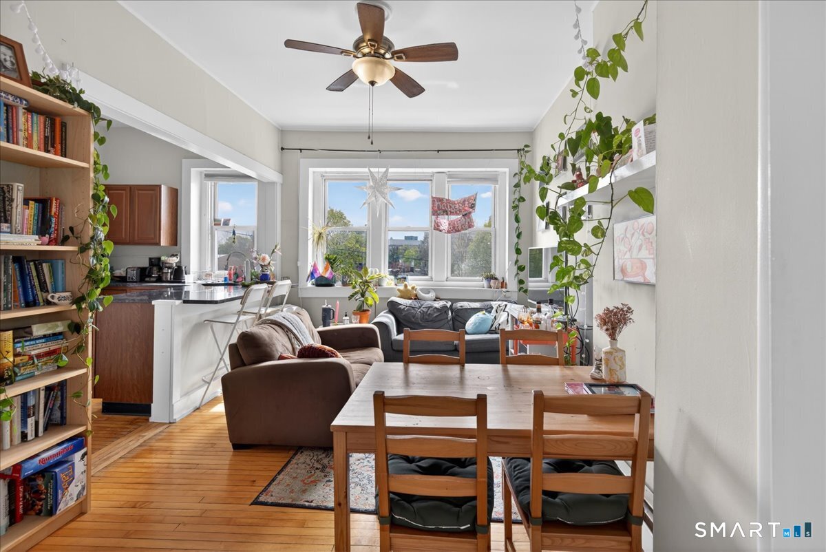 29 Eld Street New Haven CT 06511