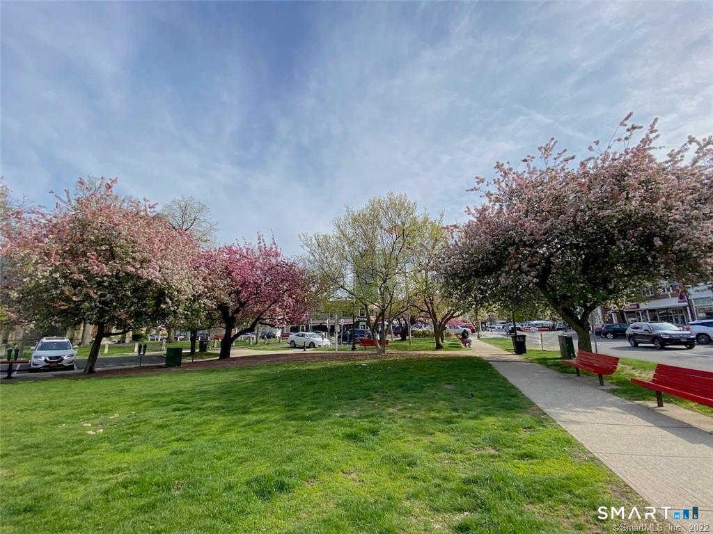 444 Bedford Street Stamford CT 06901
