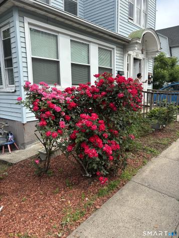 249 Lincoln Street Waterbury CT 06710