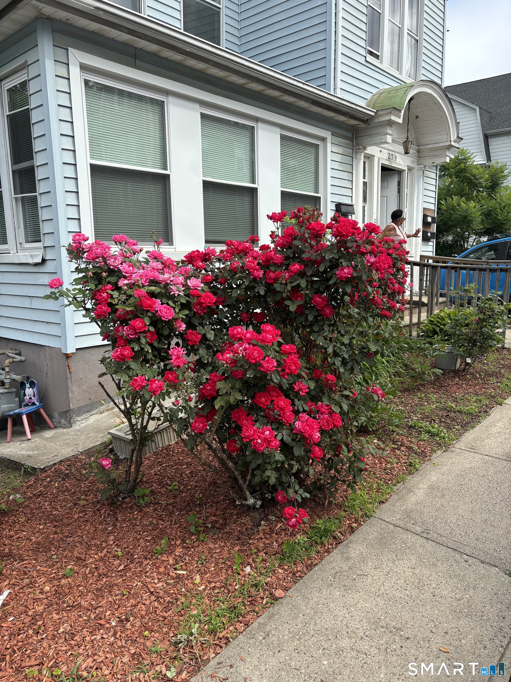 249 Lincoln Street Waterbury CT 06710