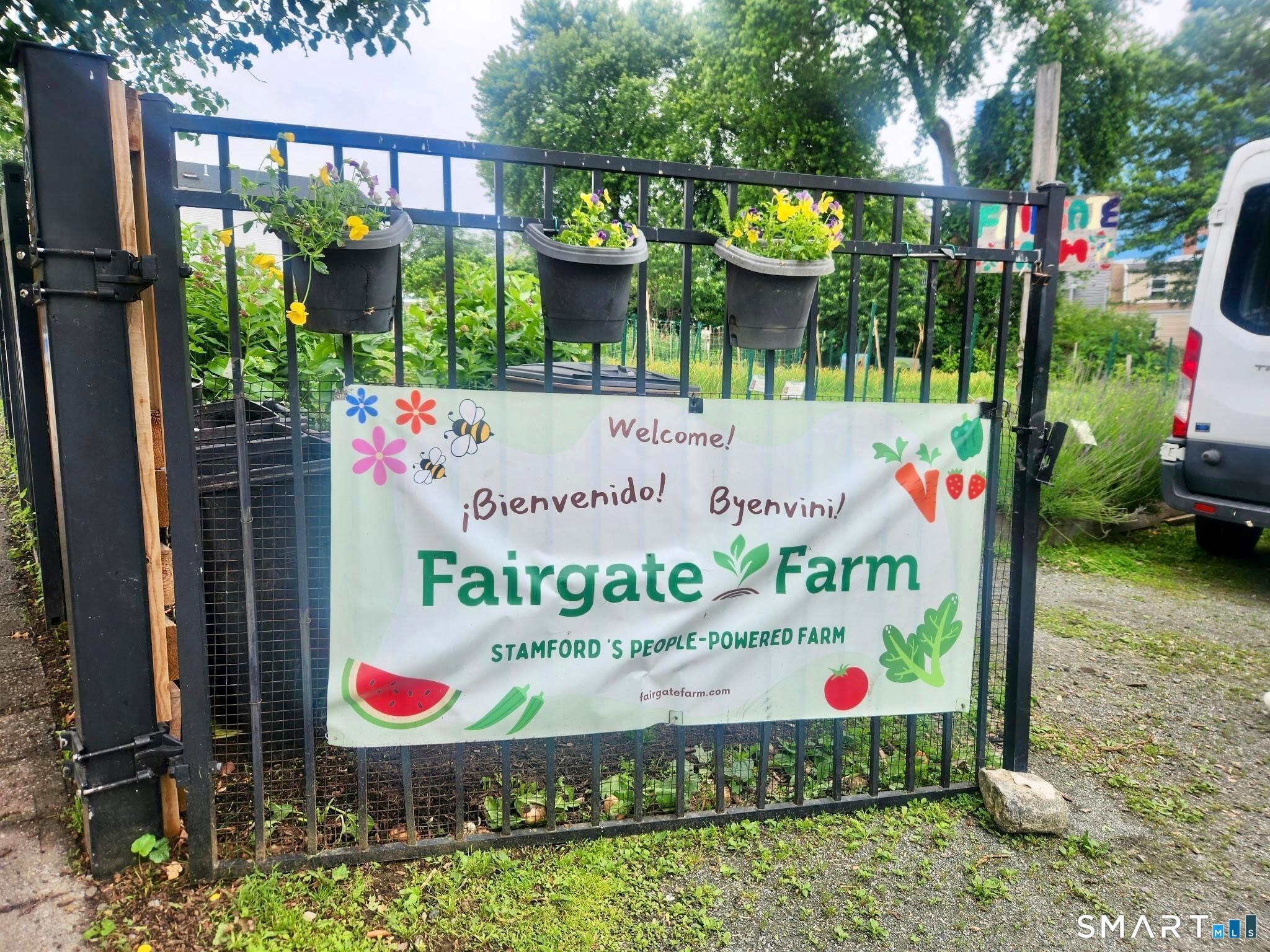 37 Fairfield Avenue Stamford CT 06902