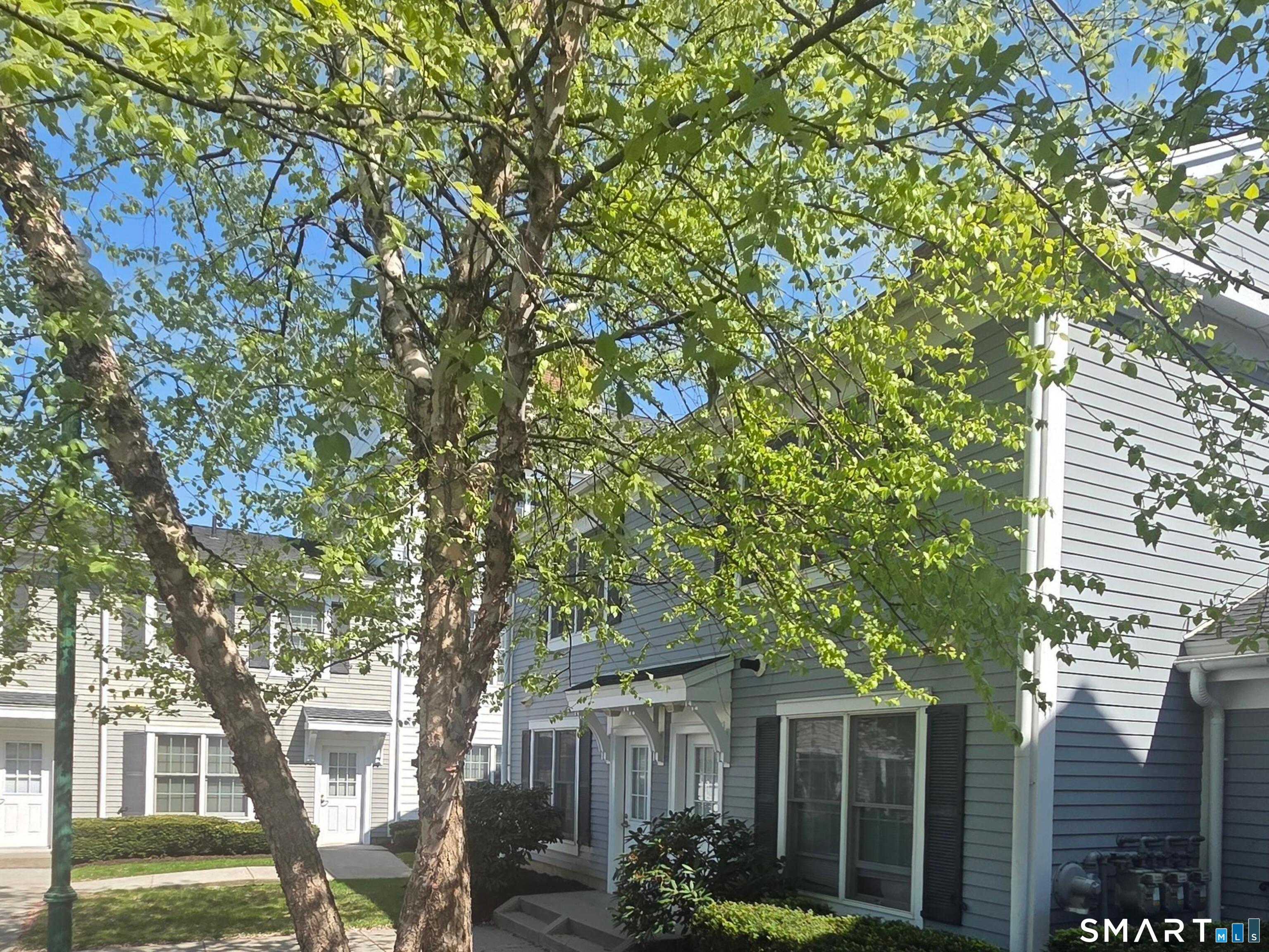 37 Fairfield Avenue Stamford CT 06902