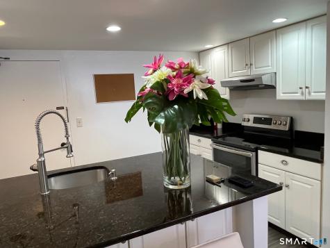 60 Strawberry Hill Avenue Stamford CT 06902