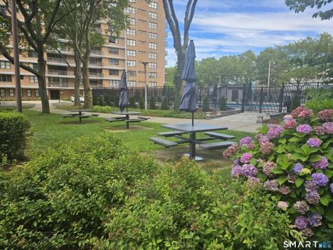 100 York Street New Haven CT 06511