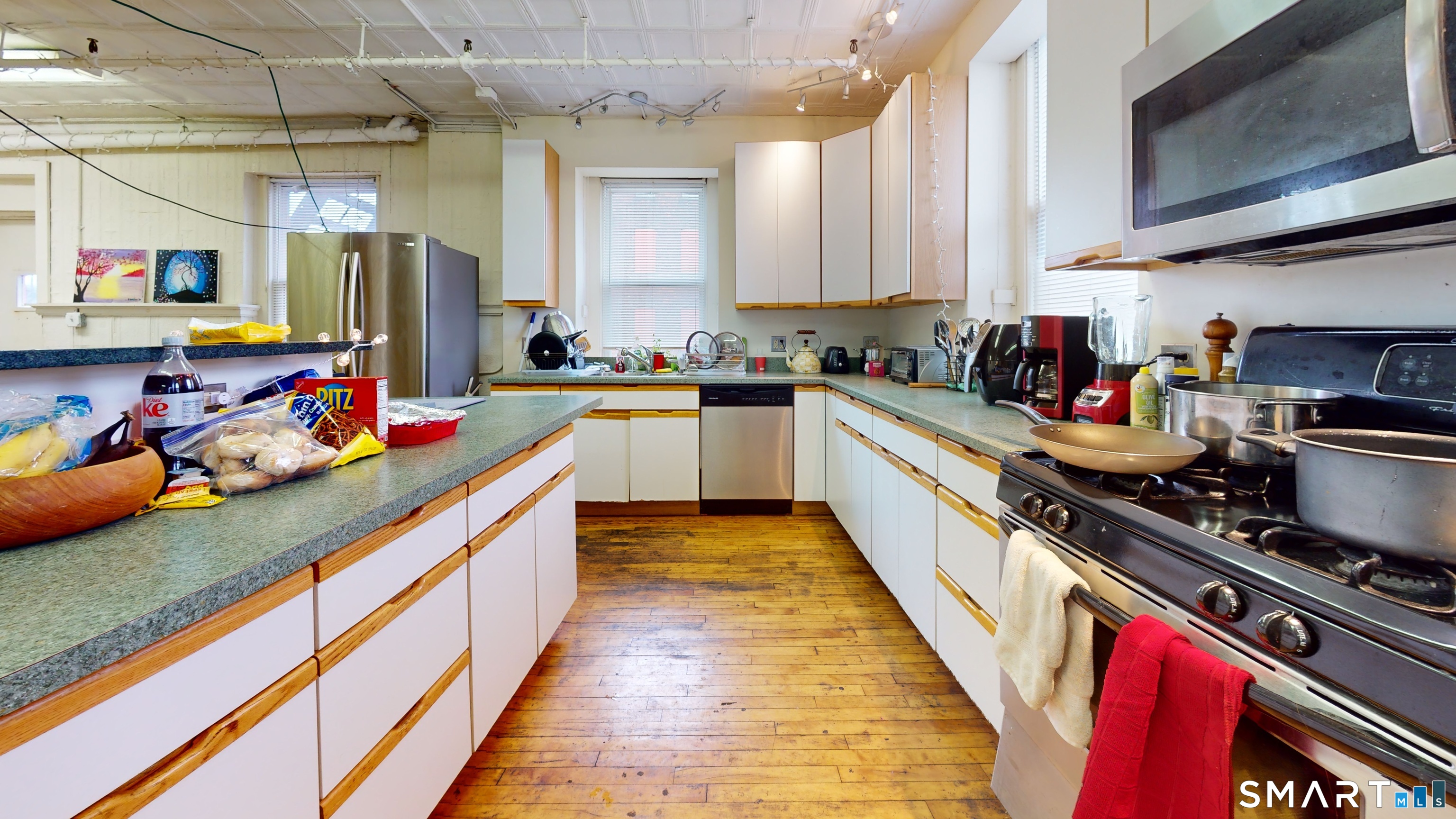 New Haven CT 06511