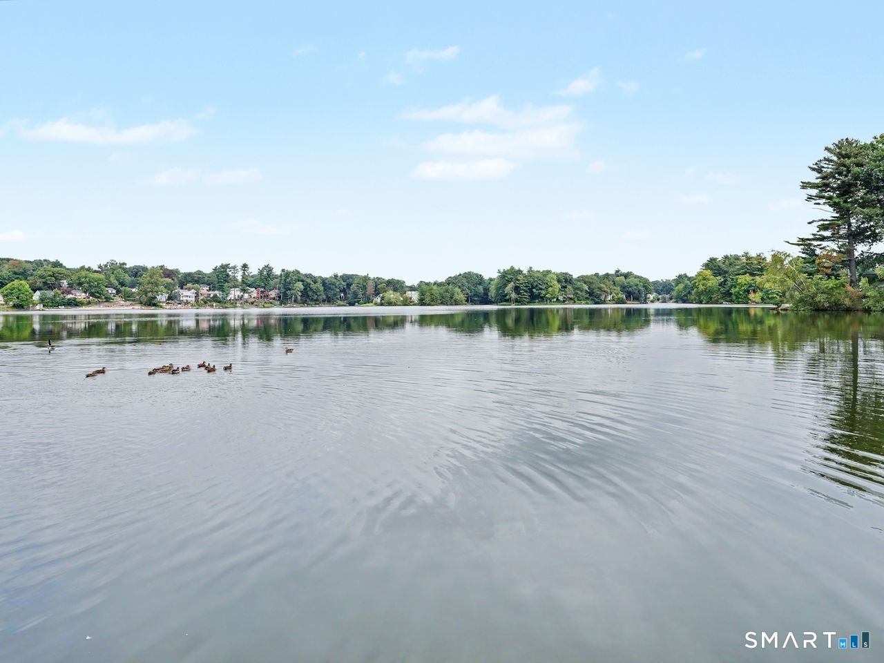 100 Lakeshore Terrace Bridgeport CT 06606
