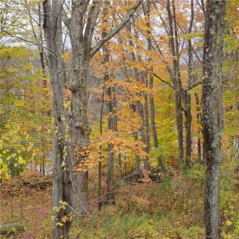 64 Big Bear Hill Road New Milford CT 06776