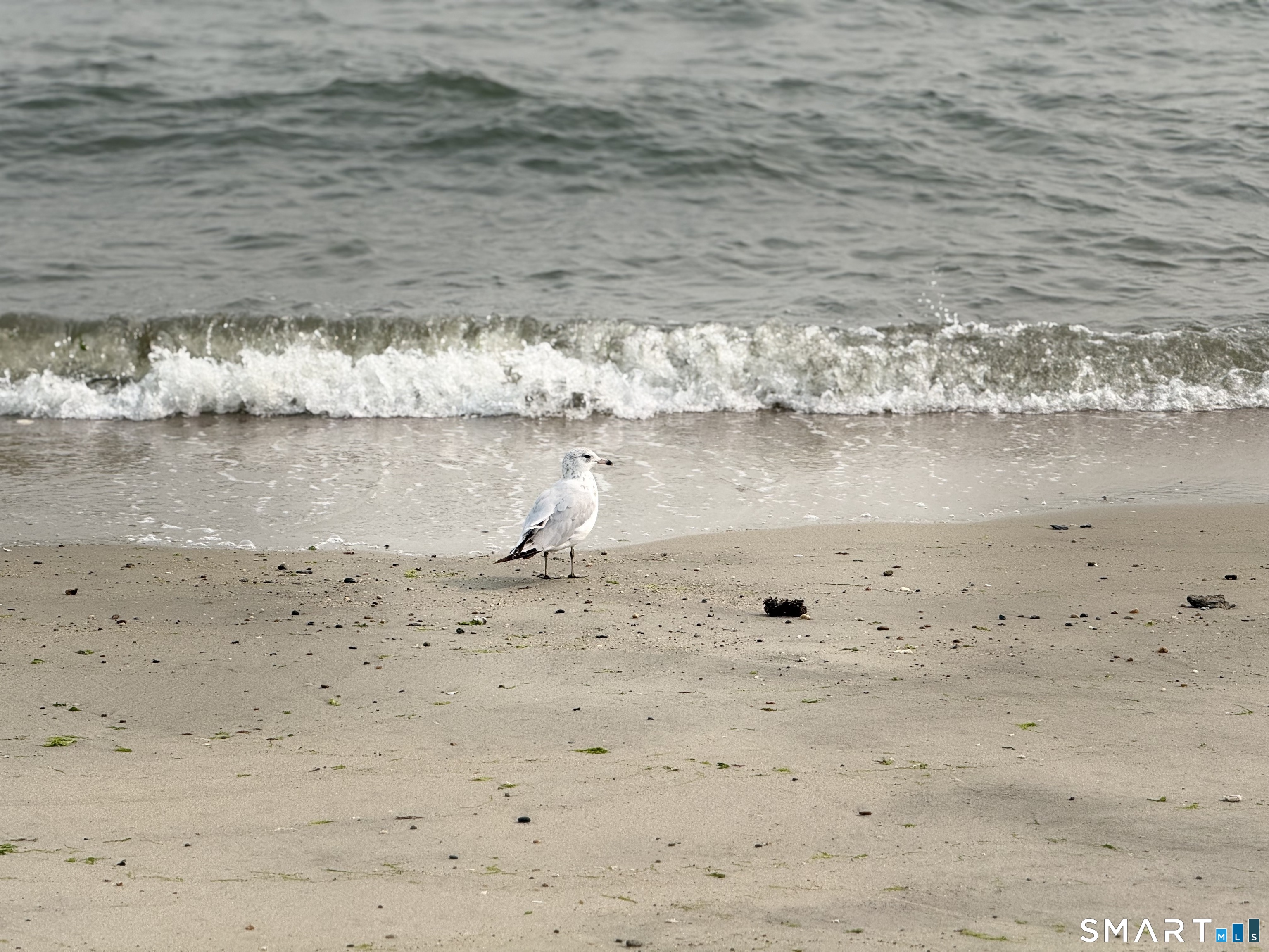 7 Sea Scape Drive Westbrook CT 06498