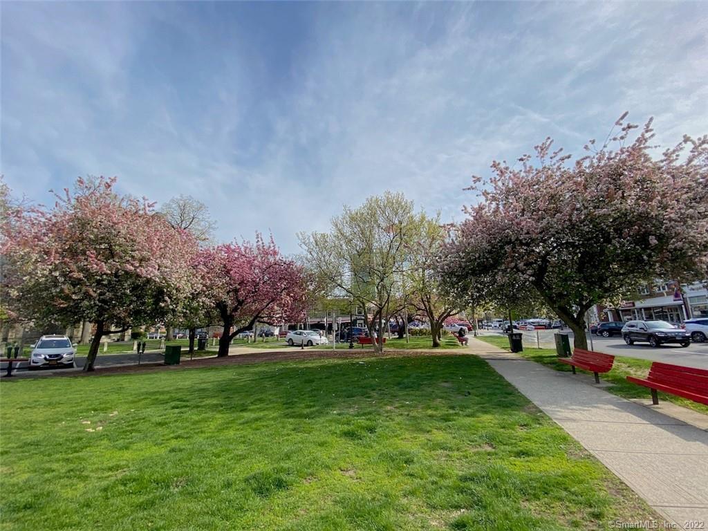 444 Bedford Street Stamford CT 06901