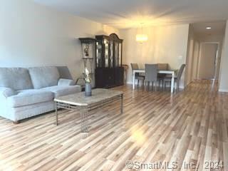 37 Greenwich Avenue Stamford CT 06902