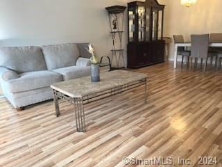 37 Greenwich Avenue Stamford CT 06902