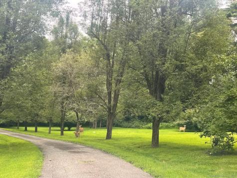 31 Cedar Hill Road New Milford CT 06755