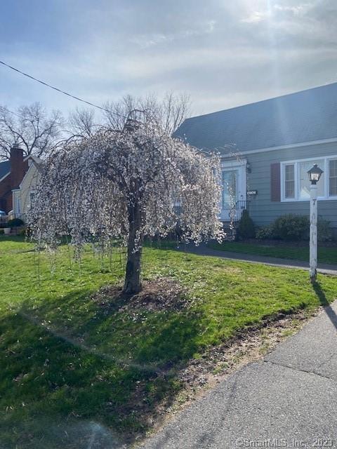 7 Yale Street West Hartford CT 06110