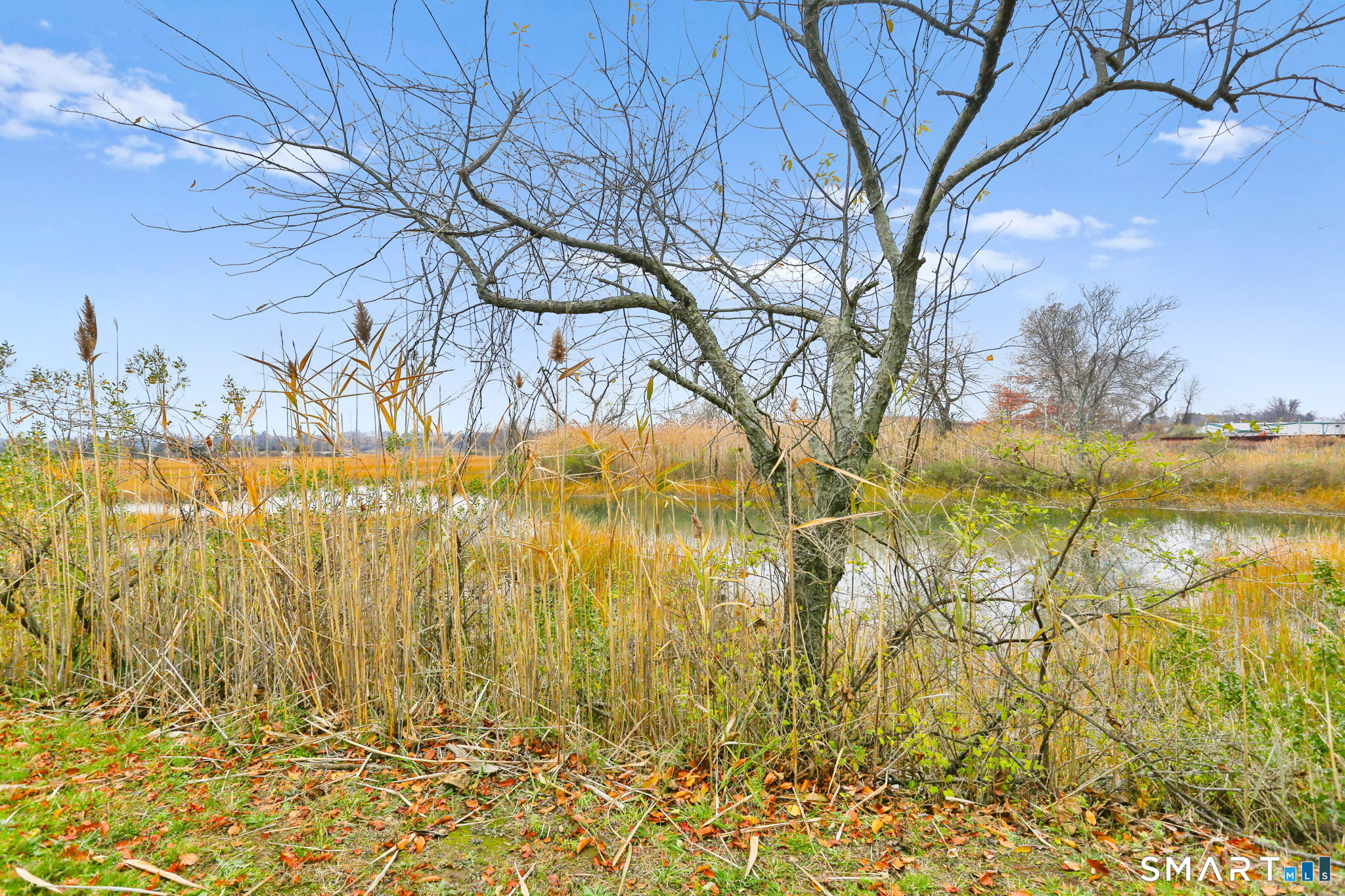 1236 Fairfield Beach Road Fairfield CT 06824