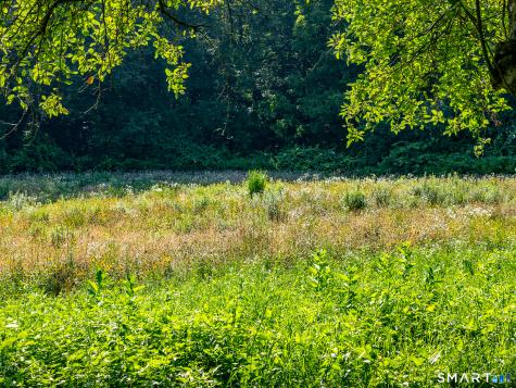 103 Litchfield Road Morris CT 06763