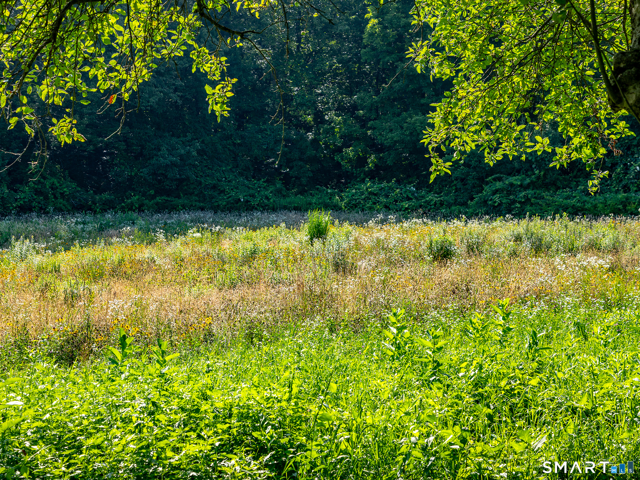 103 Litchfield Road Morris CT 06763