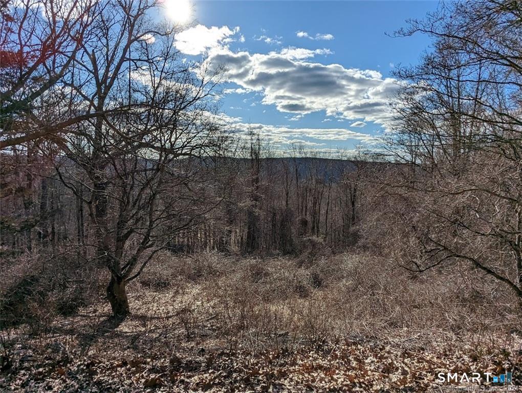 66 Ball Hill Road Mansfield CT 06268