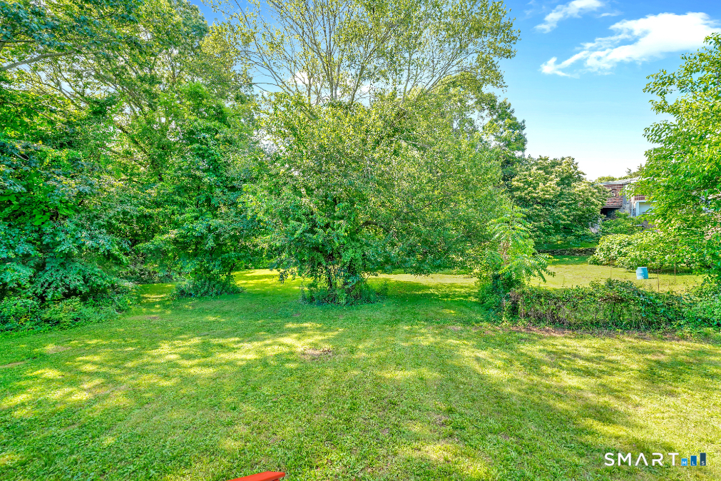 29 Hazelhurst Avenue Watertown CT 06779