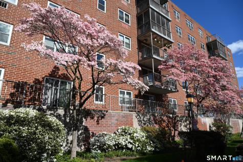 27 Northill Street Stamford CT 06907