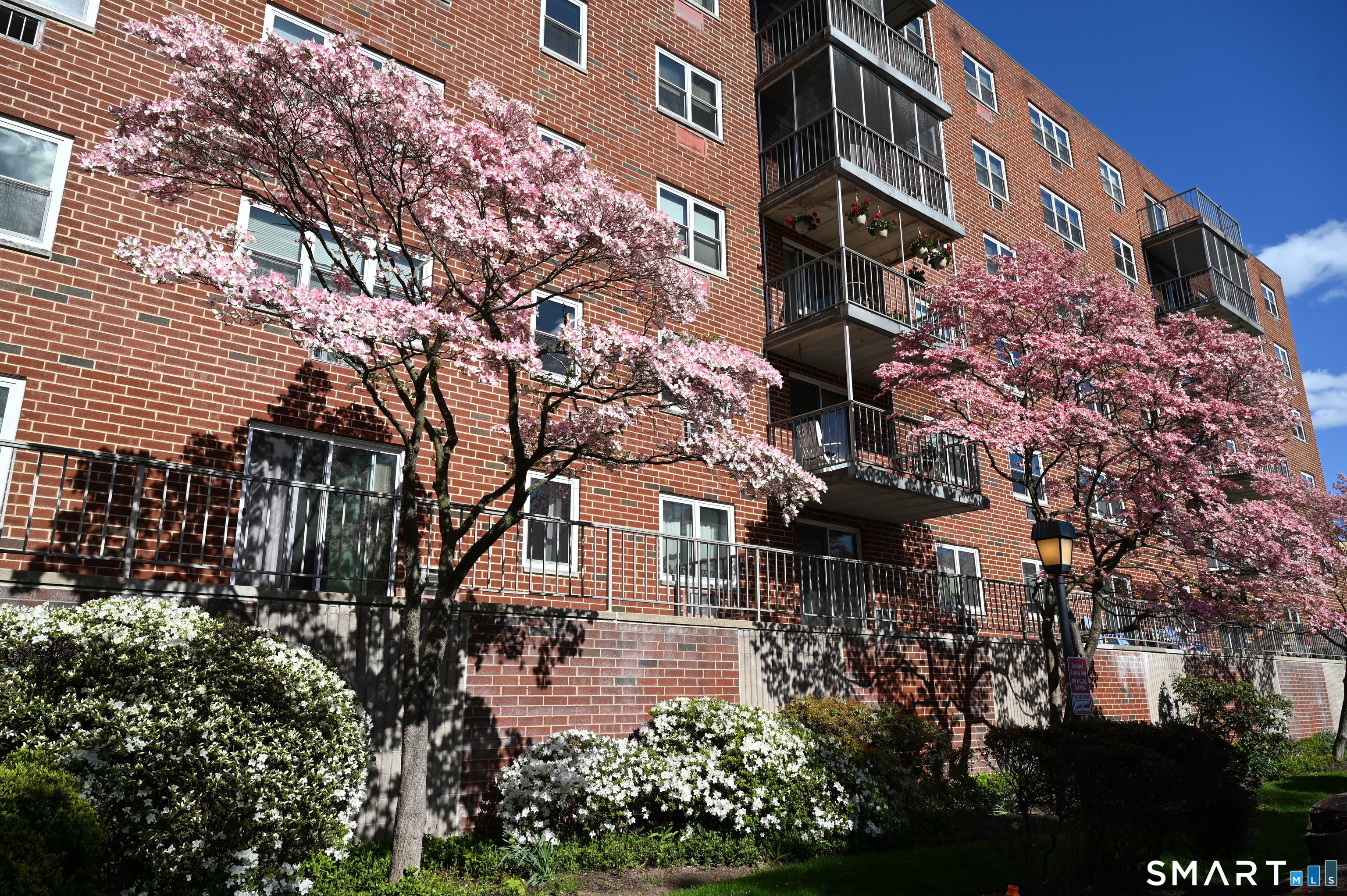 27 Northill Street Stamford CT 06907