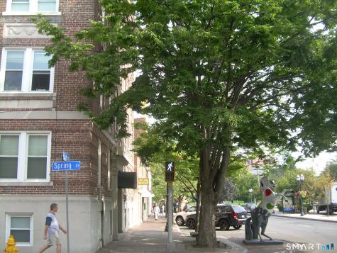 218 Bedford Street Stamford CT 06901
