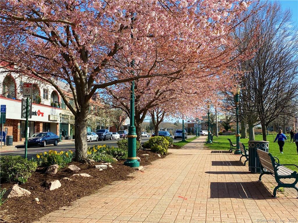 85 South Main Street Branford CT 06405