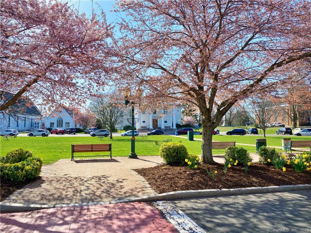 85 South Main Street Branford CT 06405