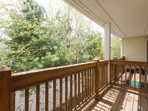 51 Forest Avenue Greenwich CT 06870