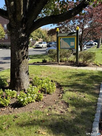 41 Hope Street Stamford CT 06906