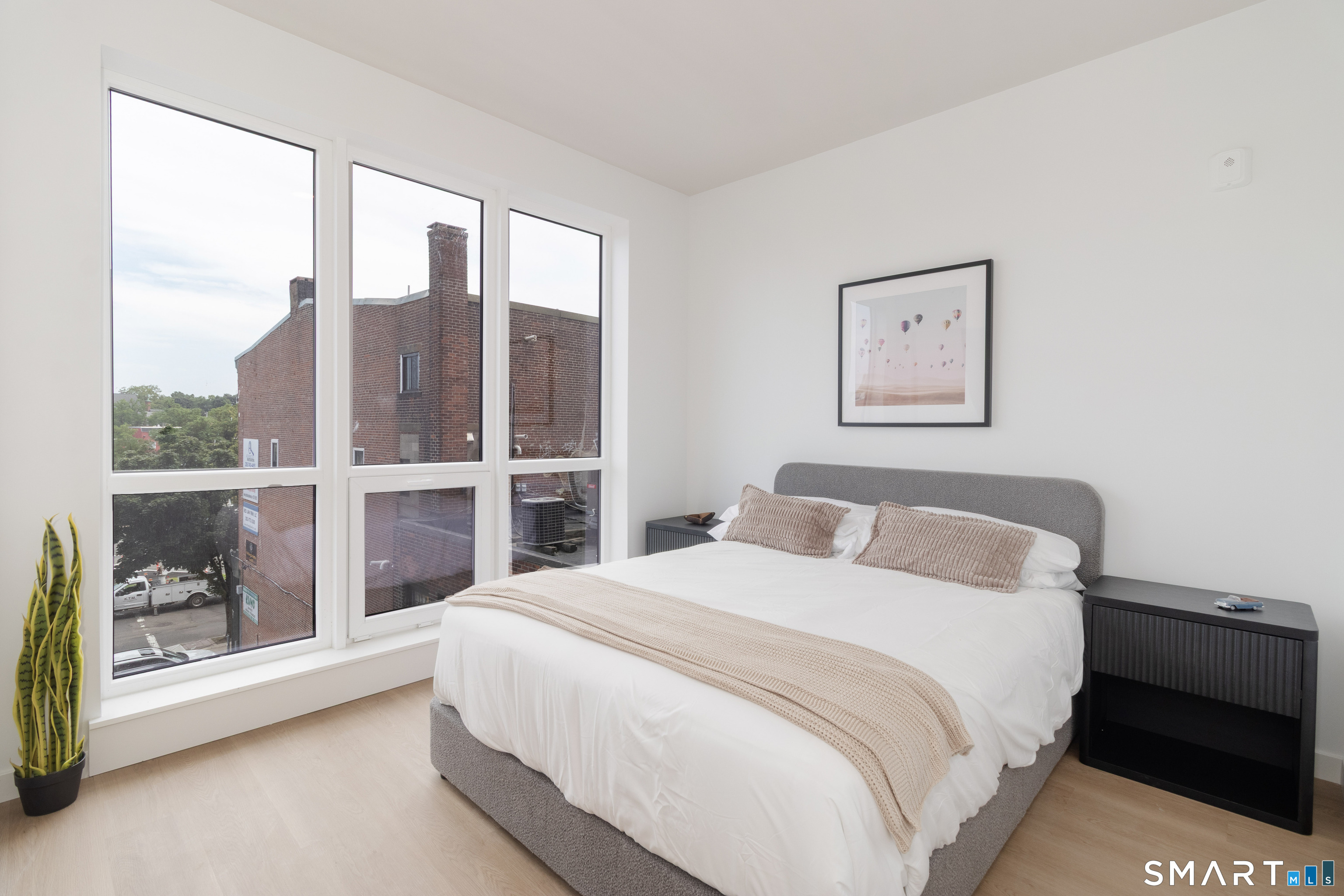 19 Elm Street New Haven CT 06510