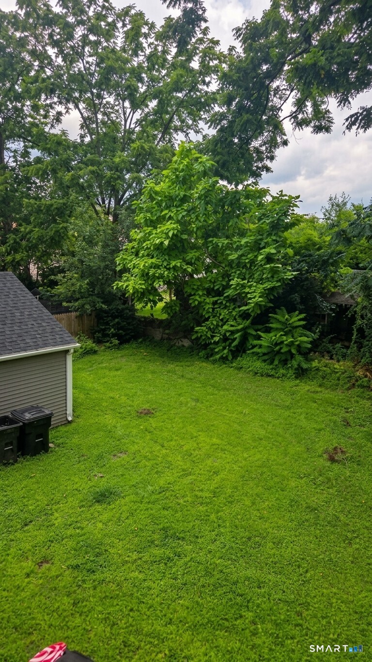 14 Meadow Street Ansonia CT 06401