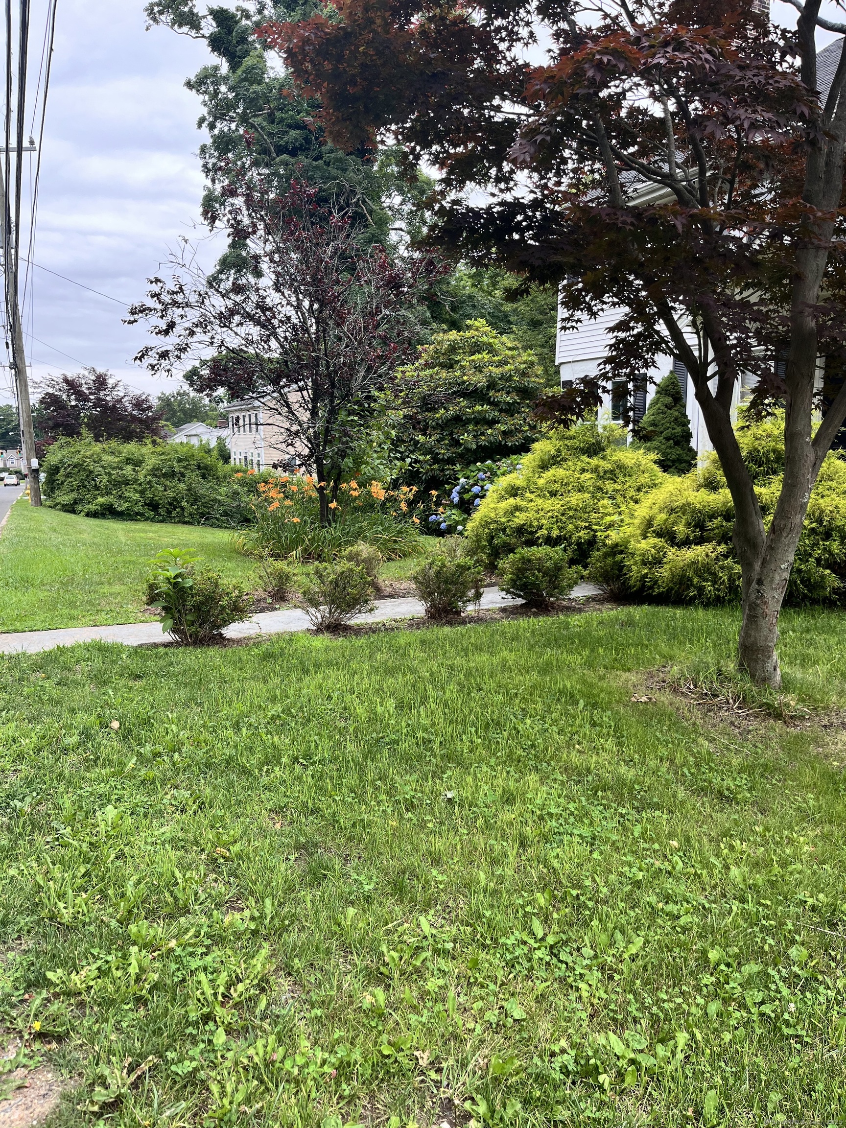 1312 Hope Street Stamford CT 06907