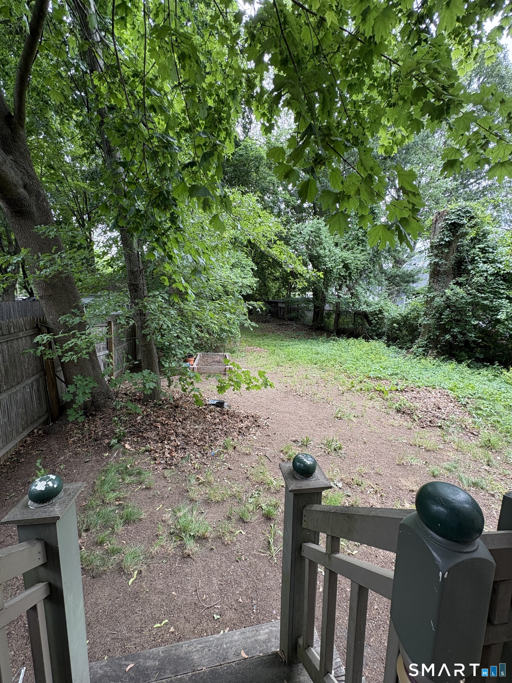 211 Norton Street New Haven CT 06511