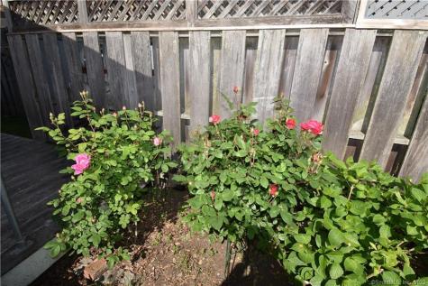 15 Trumbull Street Stonington CT 06378