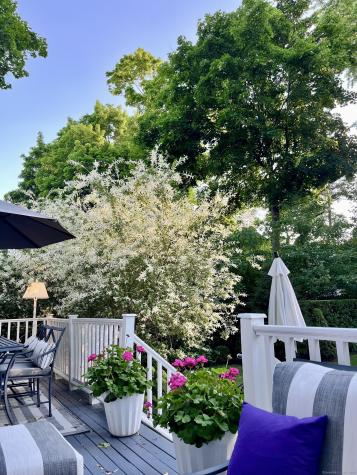 233 Rowayton Avenue Norwalk CT 06853