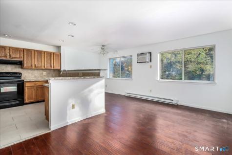 106 Willow Springs New Milford CT 06776