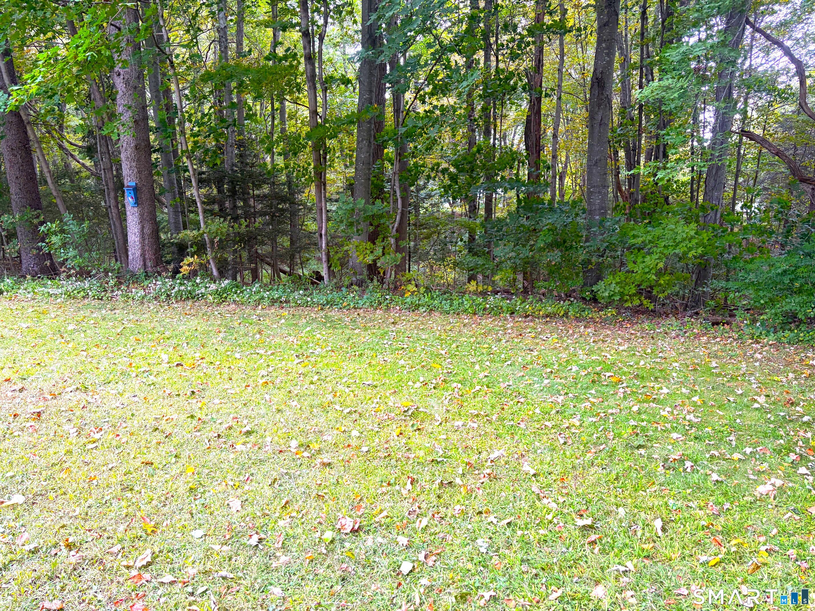 391 Main Street Deep River CT 06417