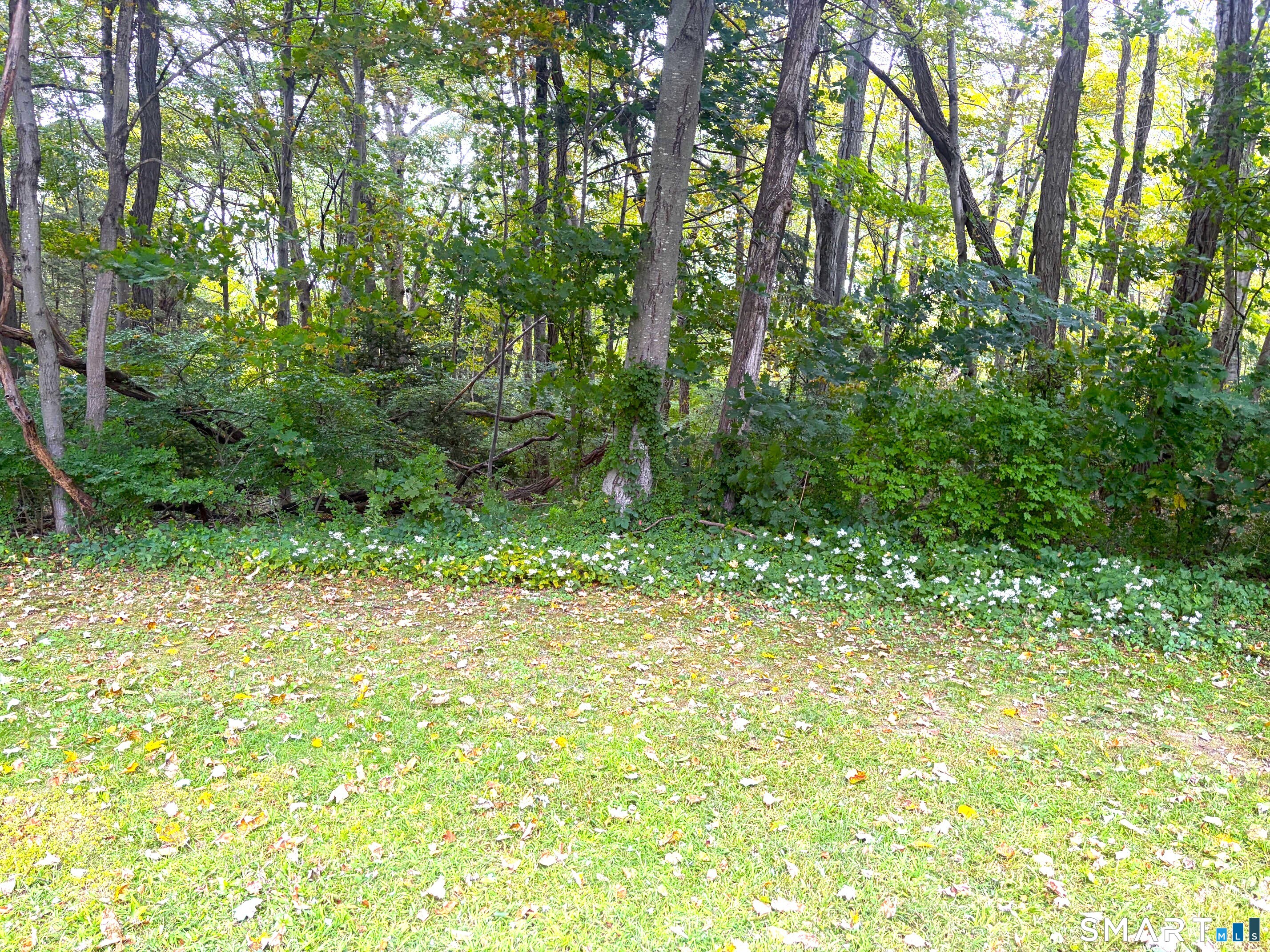 391 Main Street Deep River CT 06417