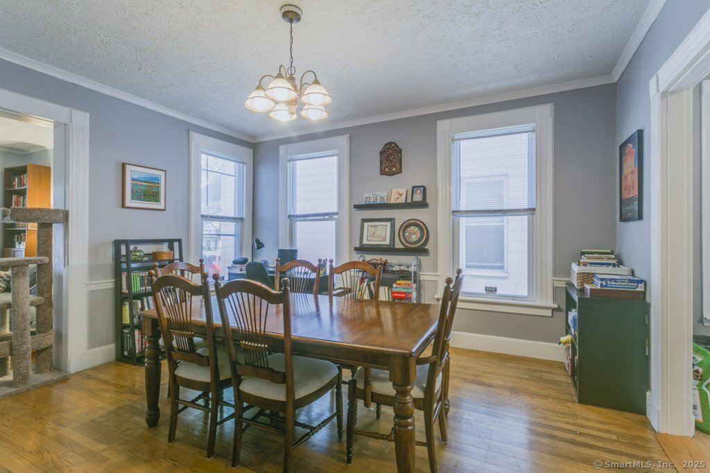 28 Edwards Street New Haven CT 06511
